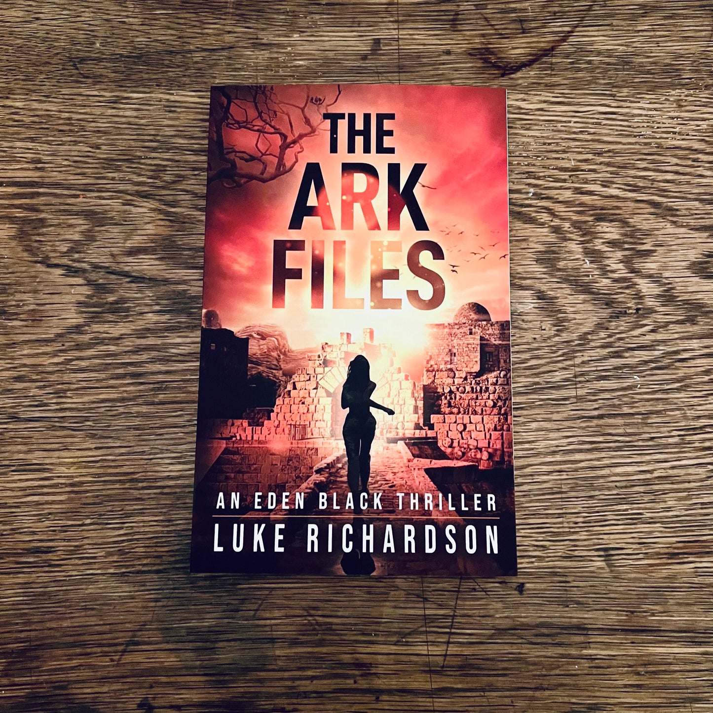 The Ark Files Paperback (Eden Black book 1)