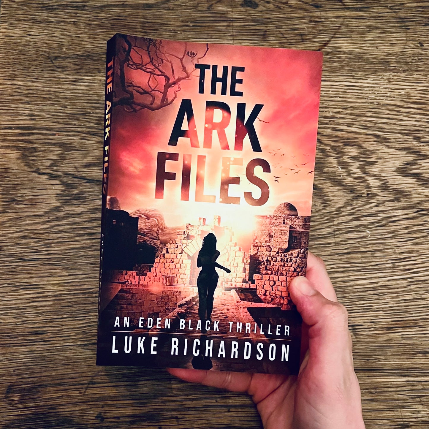 The Ark Files Paperback (Eden Black book 1)