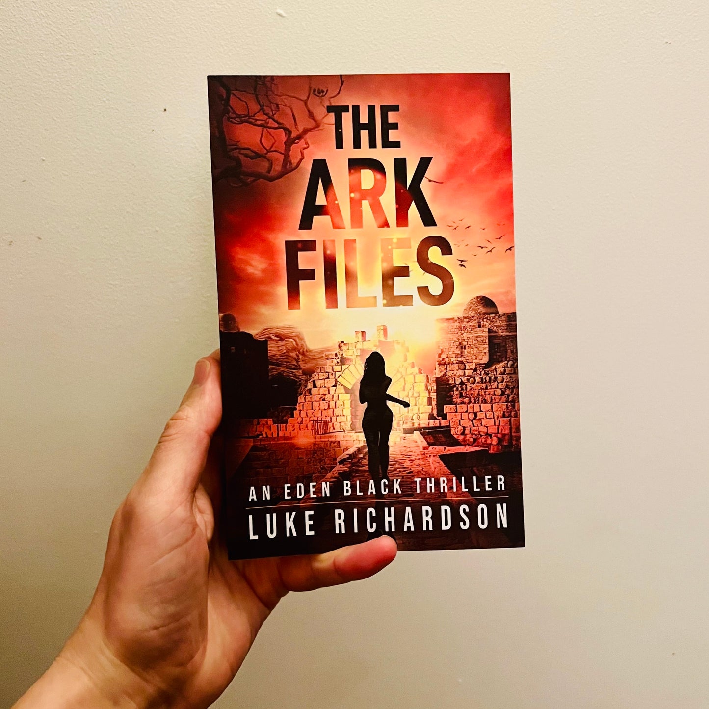 The Ark Files Paperback (Eden Black book 1)